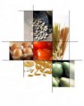 OS ALIMENTOS